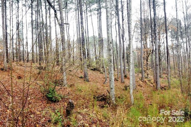 TBD Broadwater Drive 9, Granite Falls, NC 28630