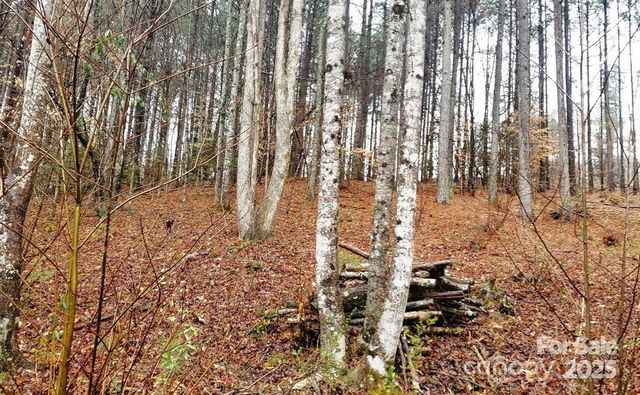 TBD Broadwater Drive 9, Granite Falls, NC 28630