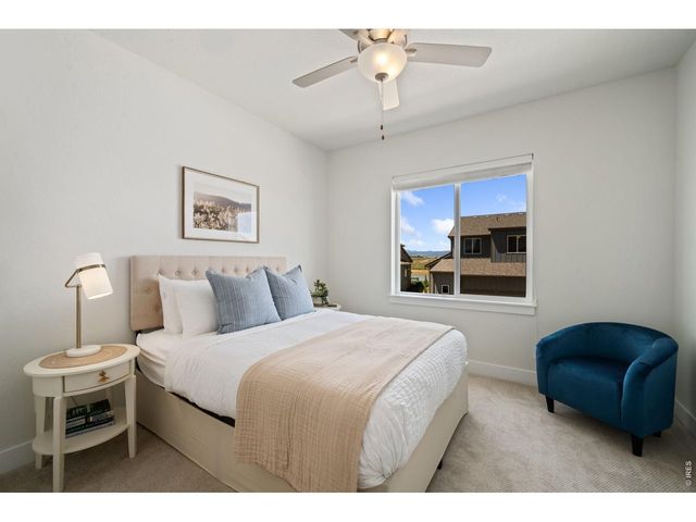 6242 Vernazza Way 2, Windsor, CO 80550