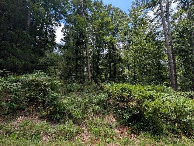 Buckden Lane, Bella Vista, AR 72715