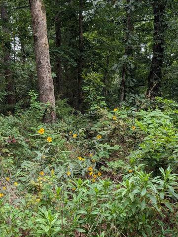 Buckden Lane, Bella Vista, AR 72715