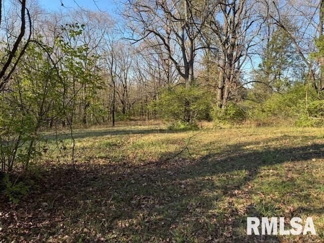 40 Crockett Road, Carbondale, IL 62901