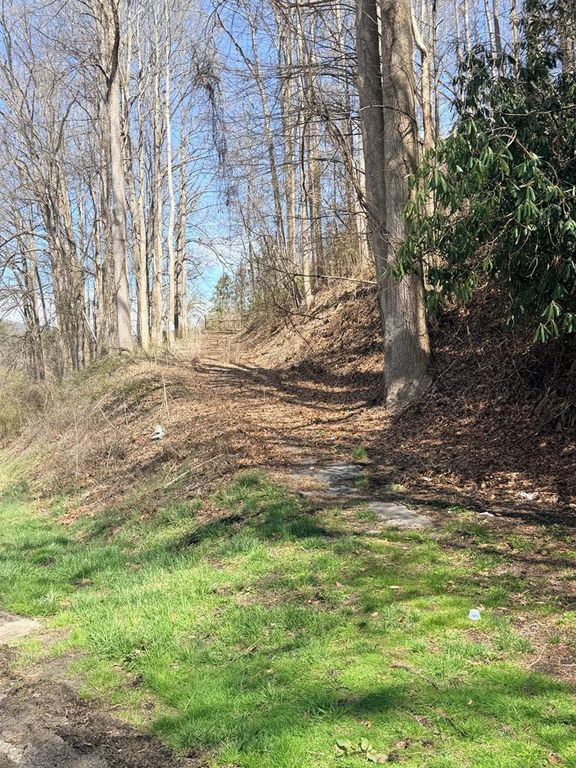 1021 US Highway 19, Topton, NC 28781