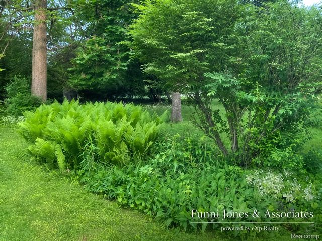 9552 Wayne Road, Livonia, MI 48150