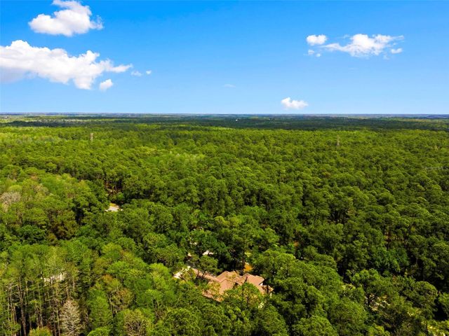 4120 RIDGEMOOR DRIVE, Palm Harbor, FL 34685