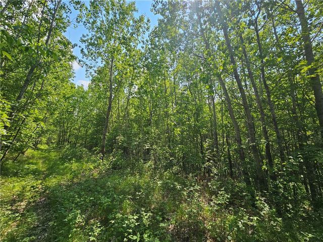 000 Oak Road, Shell Lake, WI 54871