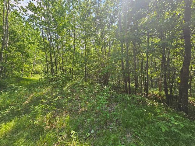 000 Oak Road, Shell Lake, WI 54871