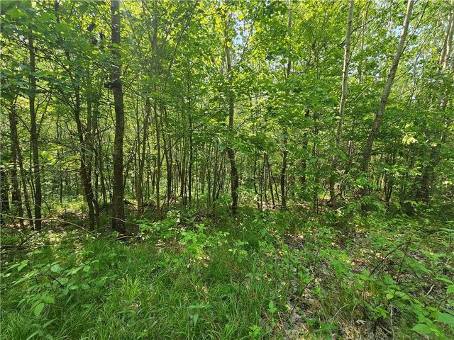 000 Oak Road, Shell Lake, WI 54871