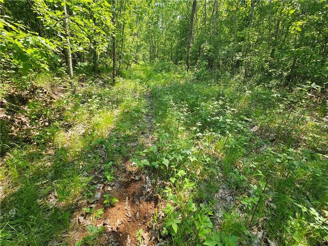 000 Oak Road, Shell Lake, WI 54871