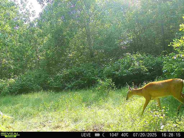 000 Oak Road, Shell Lake, WI 54871