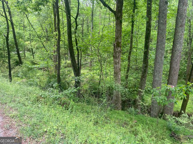 0 Luther Palmer, Cleveland, GA 30528