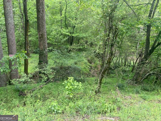 0 Luther Palmer, Cleveland, GA 30528