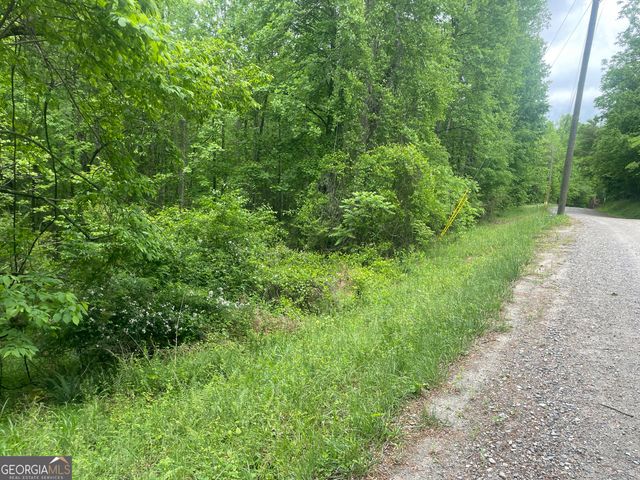 0 Luther Palmer, Cleveland, GA 30528