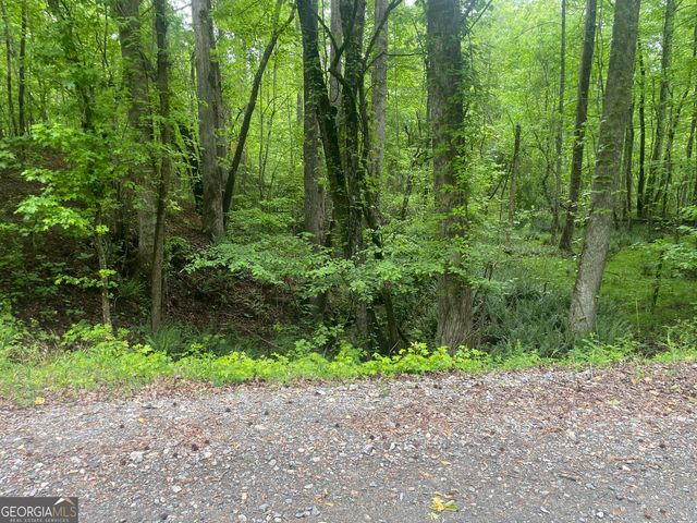 0 Luther Palmer, Cleveland, GA 30528
