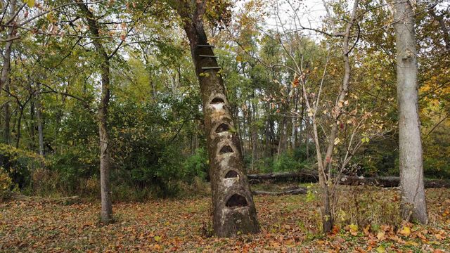 5826 N ninth Street, West Lafayette, IN 47906