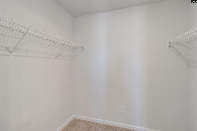 159 Carr Lane, Columbia, SC 29223