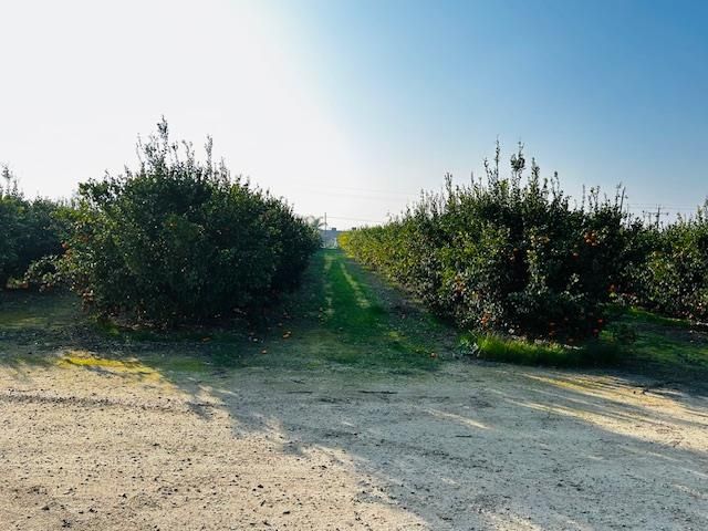 1412 S Temperance Avenue, Fresno, CA 93727