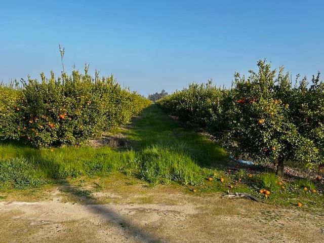 1412 S Temperance Avenue, Fresno, CA 93727