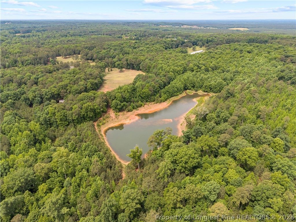 611 Old E C Womack Road, Sanford, NC 27330 — photo 10