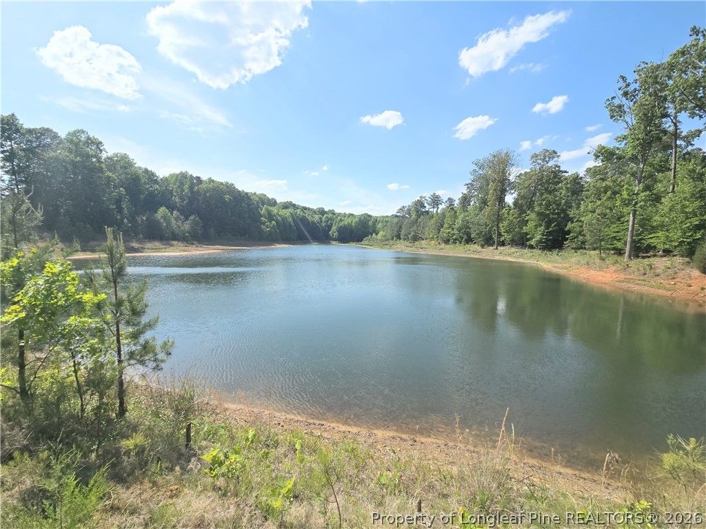 611 Old E C Womack Road, Sanford, NC 27330 — photo 12