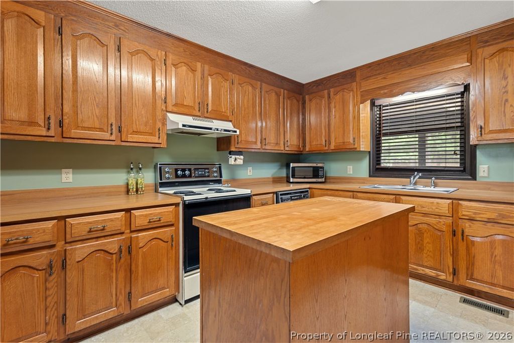 611 Old E C Womack Road, Sanford, NC 27330 — photo 24