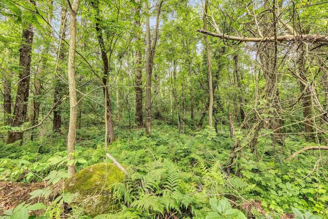 E1195 LARSON ROAD, Waupaca, WI 54981