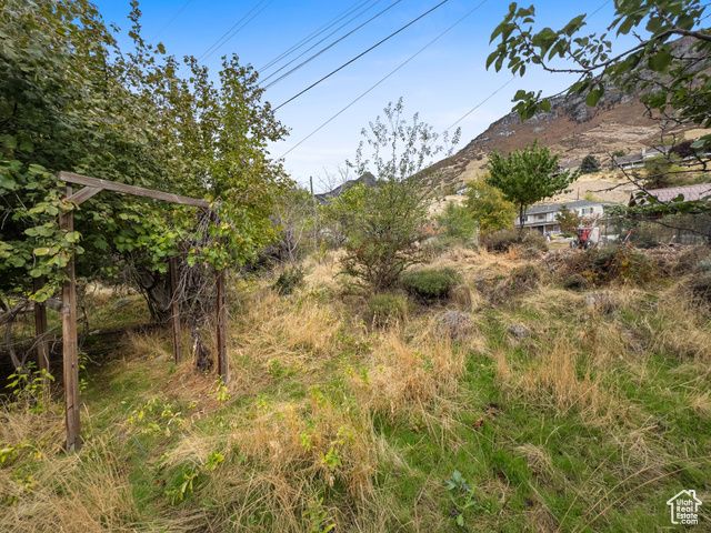 1205 N OLD WILLOW LN, Provo, UT 84604