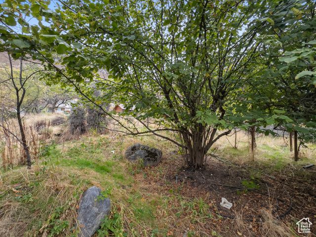 1205 N OLD WILLOW LN, Provo, UT 84604