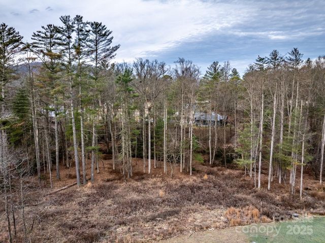 00 Crystal Mountain Drive 14, Hendersonville, NC 28739