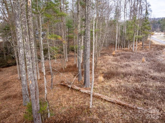 00 Crystal Mountain Drive 14, Hendersonville, NC 28739