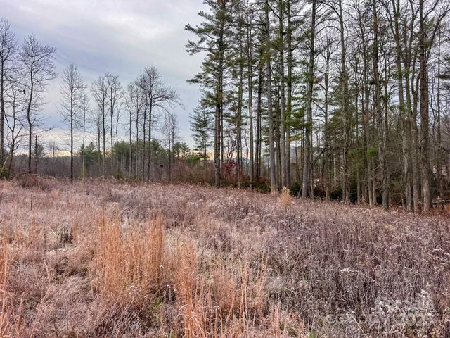 00 Crystal Mountain Drive 14, Hendersonville, NC 28739