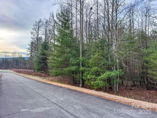 00 Crystal Mountain Drive 14, Hendersonville, NC 28739