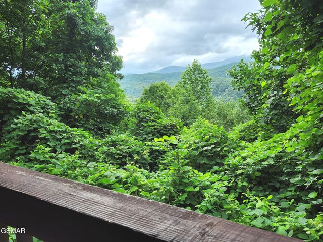 559 Crest Road, Gatlinburg, TN 37738