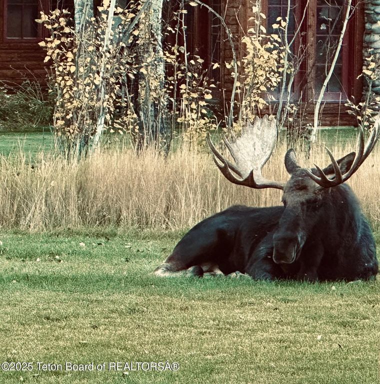 6300 N ASPEN Drive, Jackson, WY 83001 photo 38