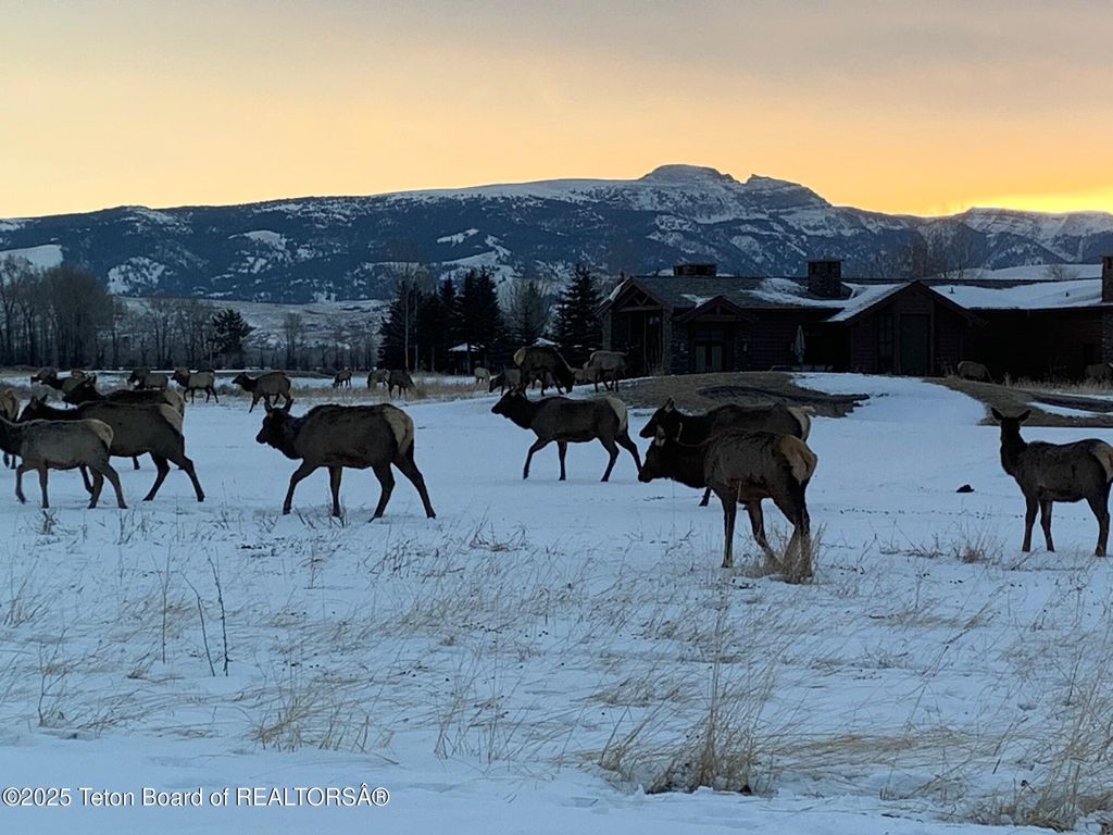 6300 N ASPEN Drive, Jackson, WY 83001 photo 39