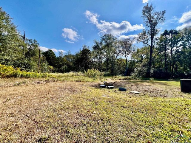 917 Green Blackmon Rd., Kilgore, TX 75662