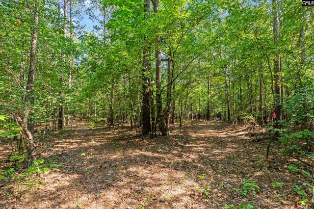 259 Sessions Road, Elgin, SC 29045