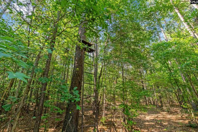 259 Sessions Road, Elgin, SC 29045