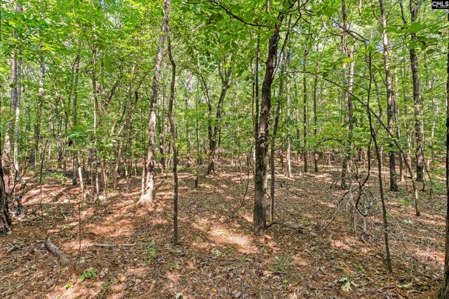 259 Sessions Road, Elgin, SC 29045