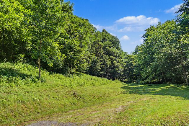 1505 Dark Hollow Rd, Lafayette, TN 37083