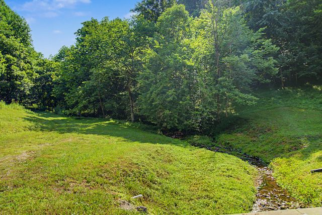 1505 Dark Hollow Rd, Lafayette, TN 37083