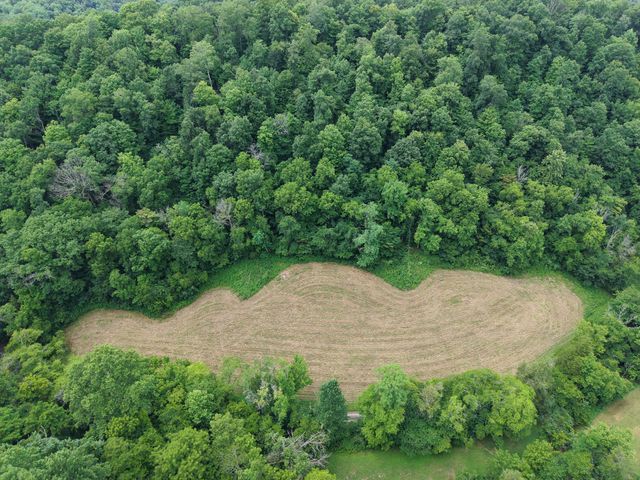 1505 Dark Hollow Rd, Lafayette, TN 37083