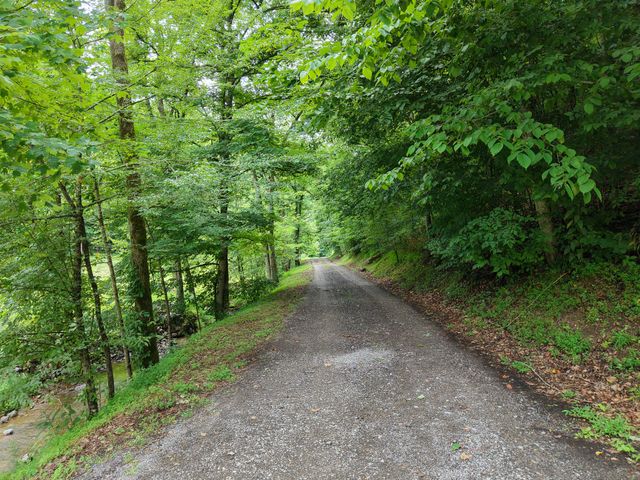1505 Dark Hollow Rd, Lafayette, TN 37083