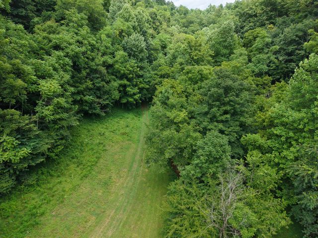 1505 Dark Hollow Rd, Lafayette, TN 37083