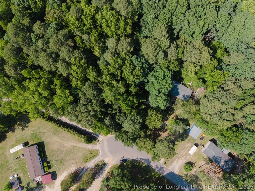 8201 Oakcliff Lane, Angier, NC 27501 — photo 6