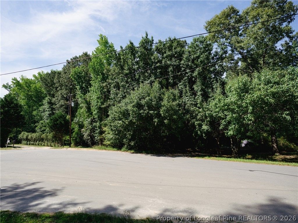 8201 Oakcliff Lane, Angier, NC 27501 — photo 8