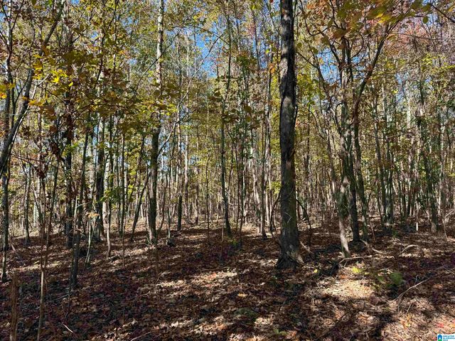 3701 HIGHWAY 132, Oneonta, AL 35121