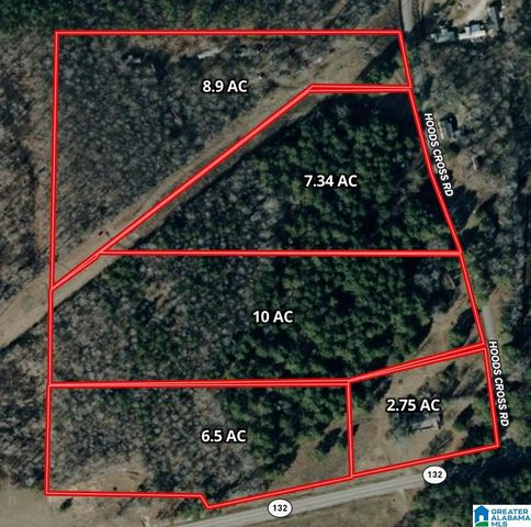3701 HIGHWAY 132, Oneonta, AL 35121