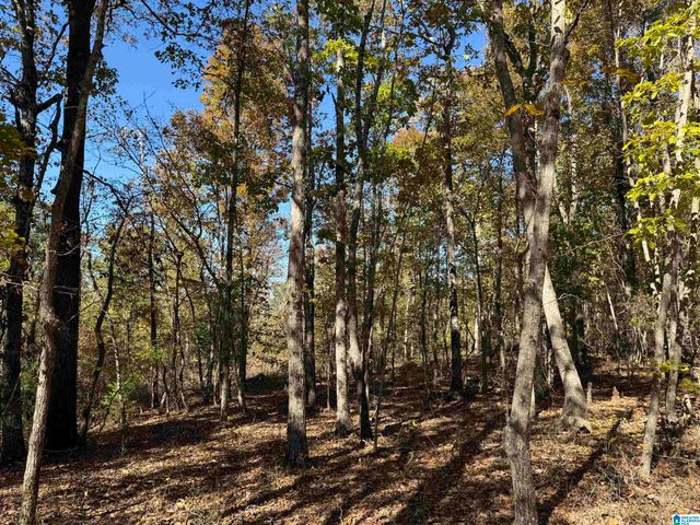 3701 HIGHWAY 132, Oneonta, AL 35121