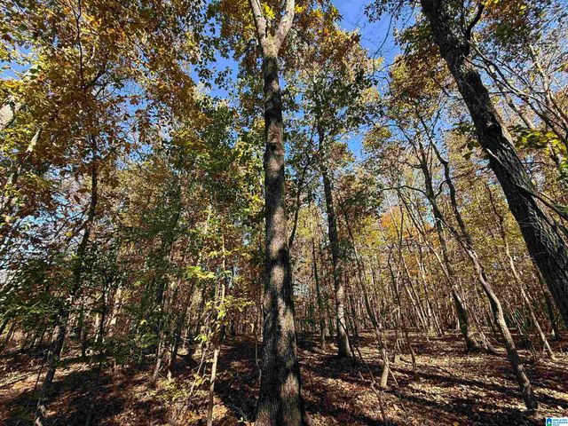 3701 HIGHWAY 132, Oneonta, AL 35121